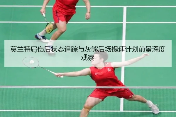 莫兰特肩伤后状态追踪与灰熊后场提速计划前景深度观察
